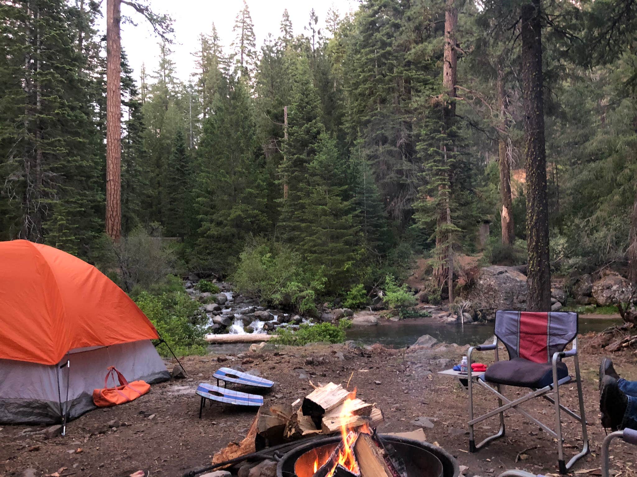 Kate A.'s photo at Elam Campground near Forest Ranch, CA