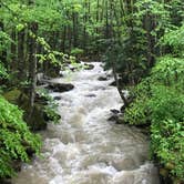 Review photo of Glade Creek Campground — New River Gorge National Park and Preserve by Dave V., May 29, 2018