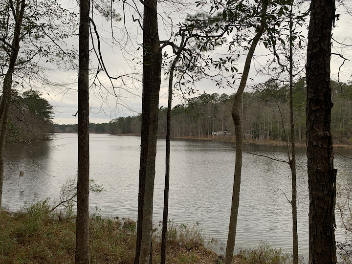Camper-submitted photo at Clarkco State Park Campground near Quitman, MS