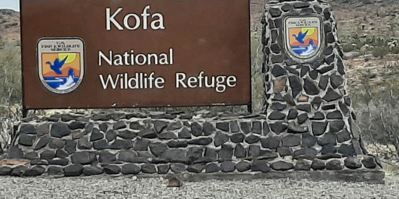 Camper submitted image from KOFA National Wildlife Refuge - King Valley Road