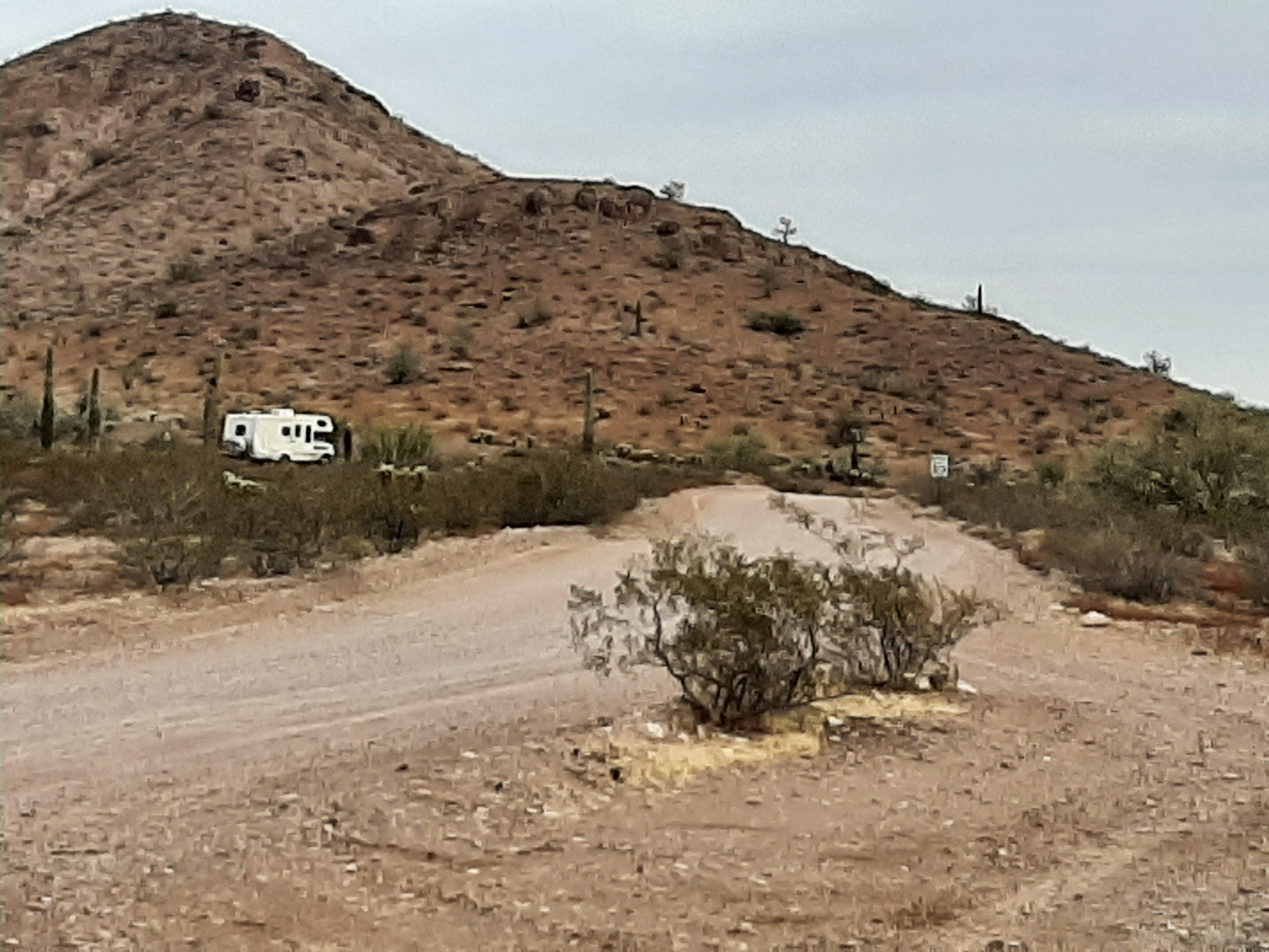 Camper submitted image from KOFA National Wildlife Refuge - King Valley Road - 3