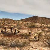 Review photo of KOFA National Wildlife Refuge - King Valley Road by Larry B., February 13, 2021