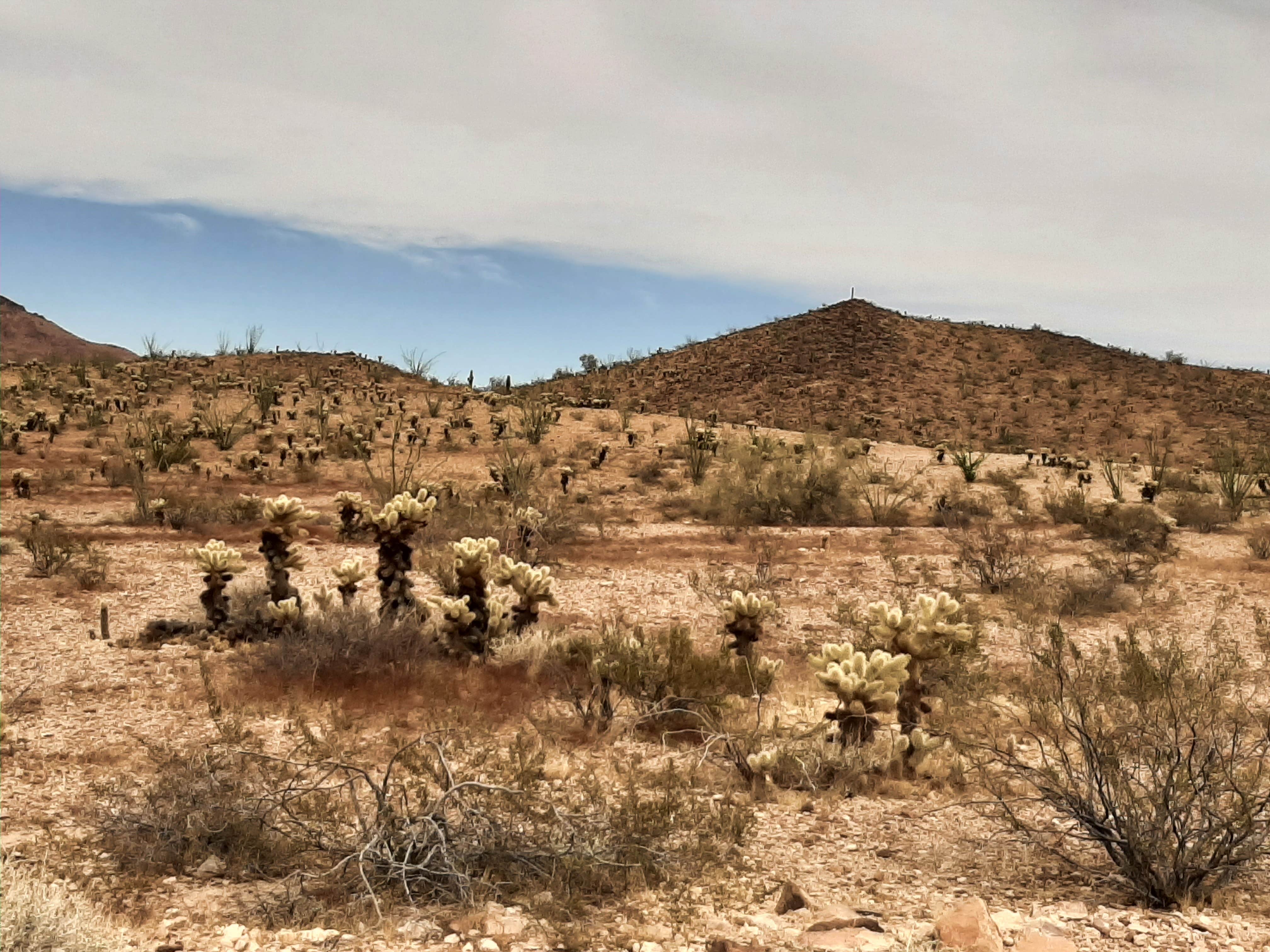 Camper submitted image from KOFA National Wildlife Refuge - King Valley Road - 2