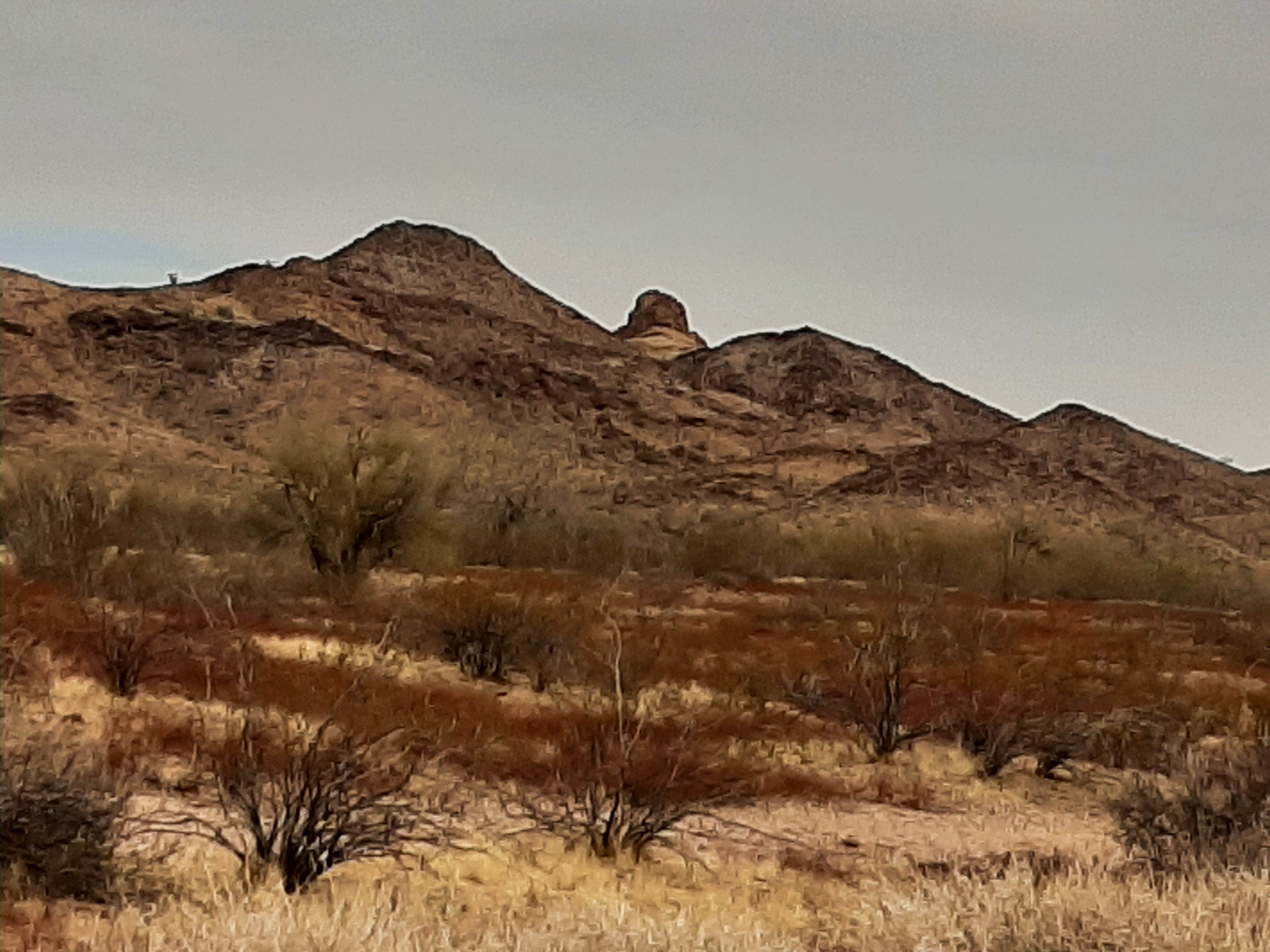 Camper-submitted photo at KOFA National Wildlife Refuge - King Valley Road near Dateland, AZ