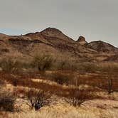 Review photo of KOFA National Wildlife Refuge - King Valley Road by Larry B., February 13, 2021