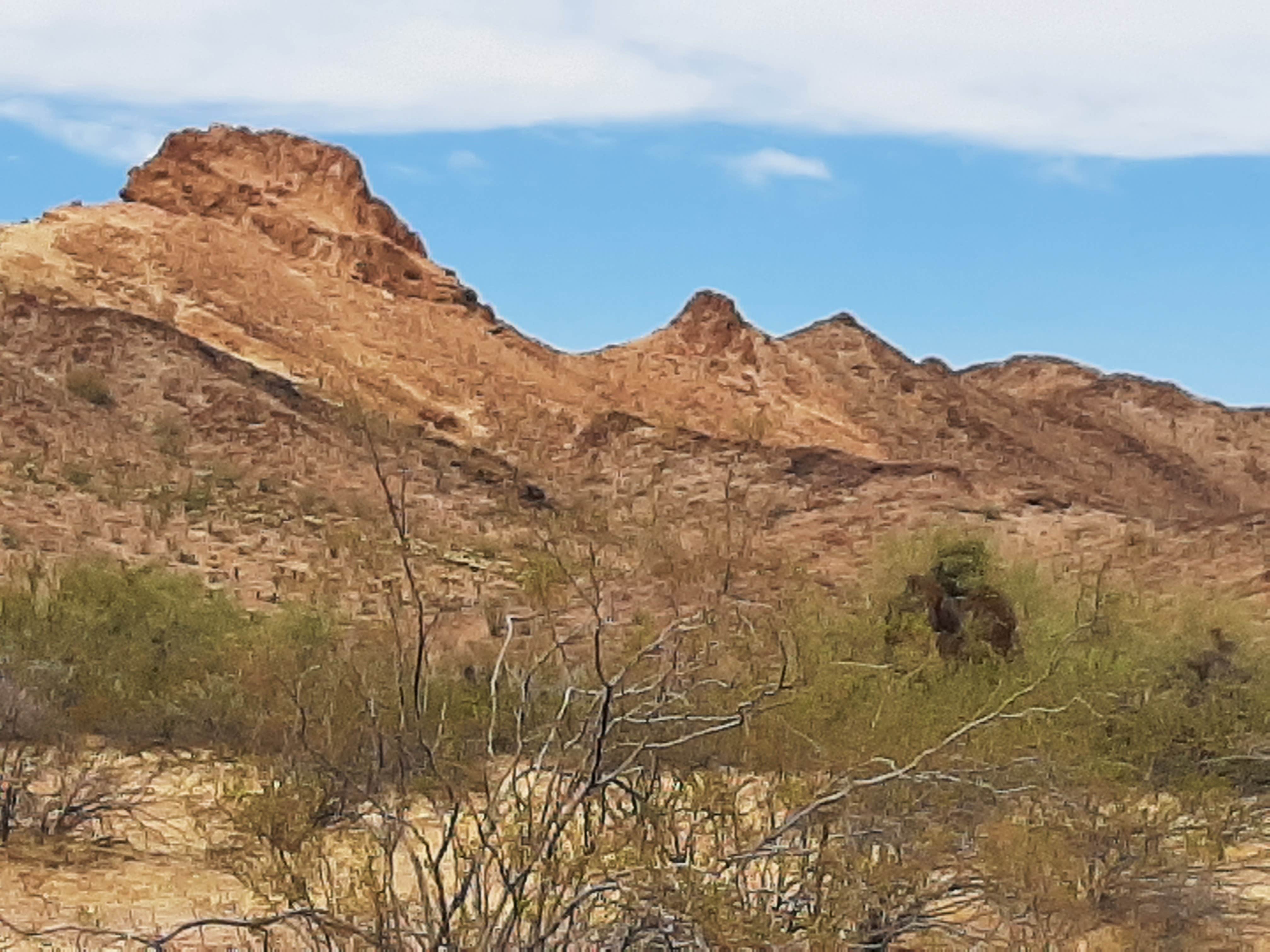 Camper-submitted photo at KOFA National Wildlife Refuge - King Valley Road near Dateland, AZ