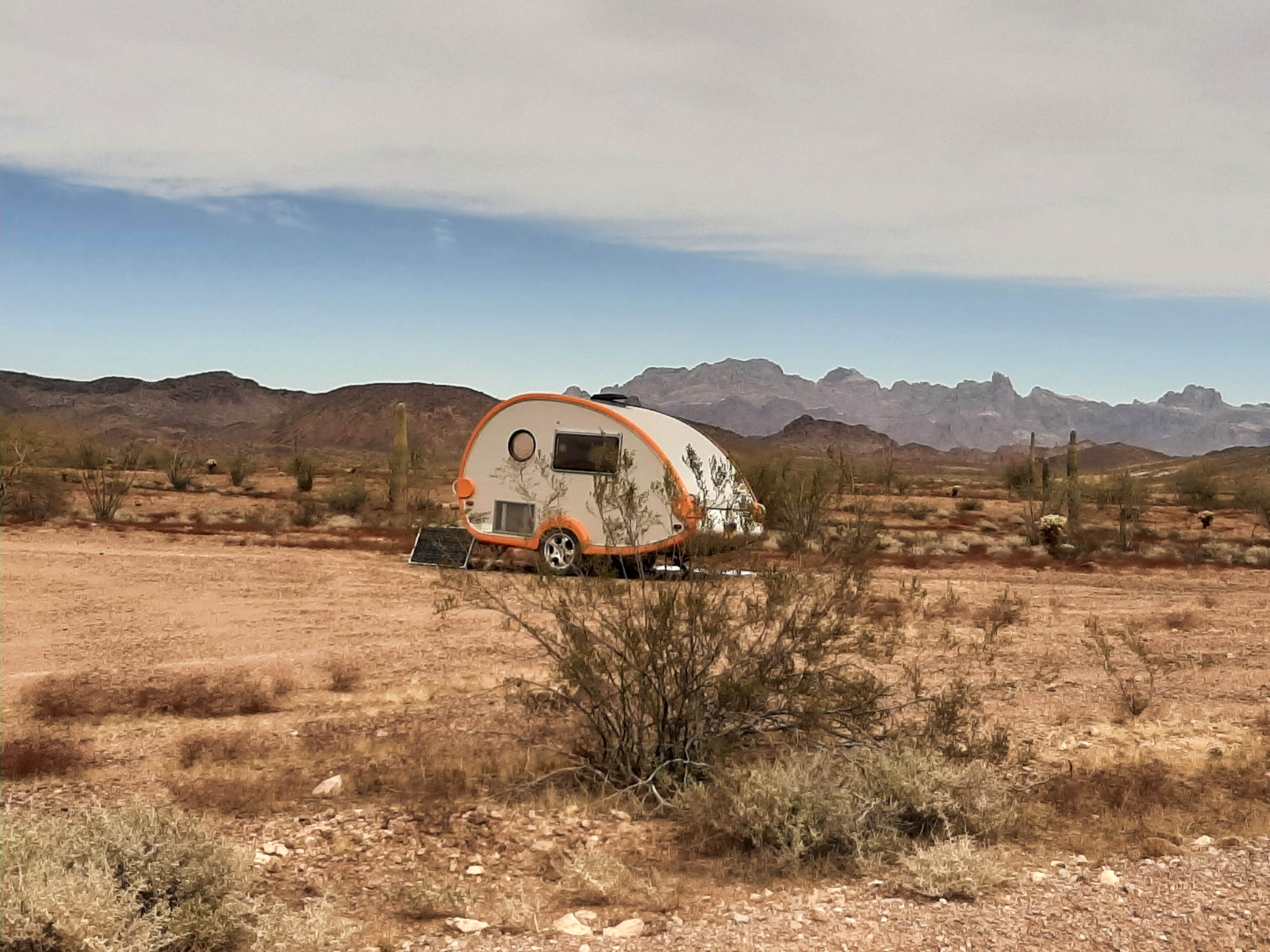 Camper submitted image from KOFA National Wildlife Refuge - King Valley Road - 5
