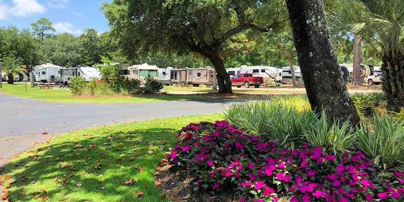 Camper submitted image from Island Retreat RV Park