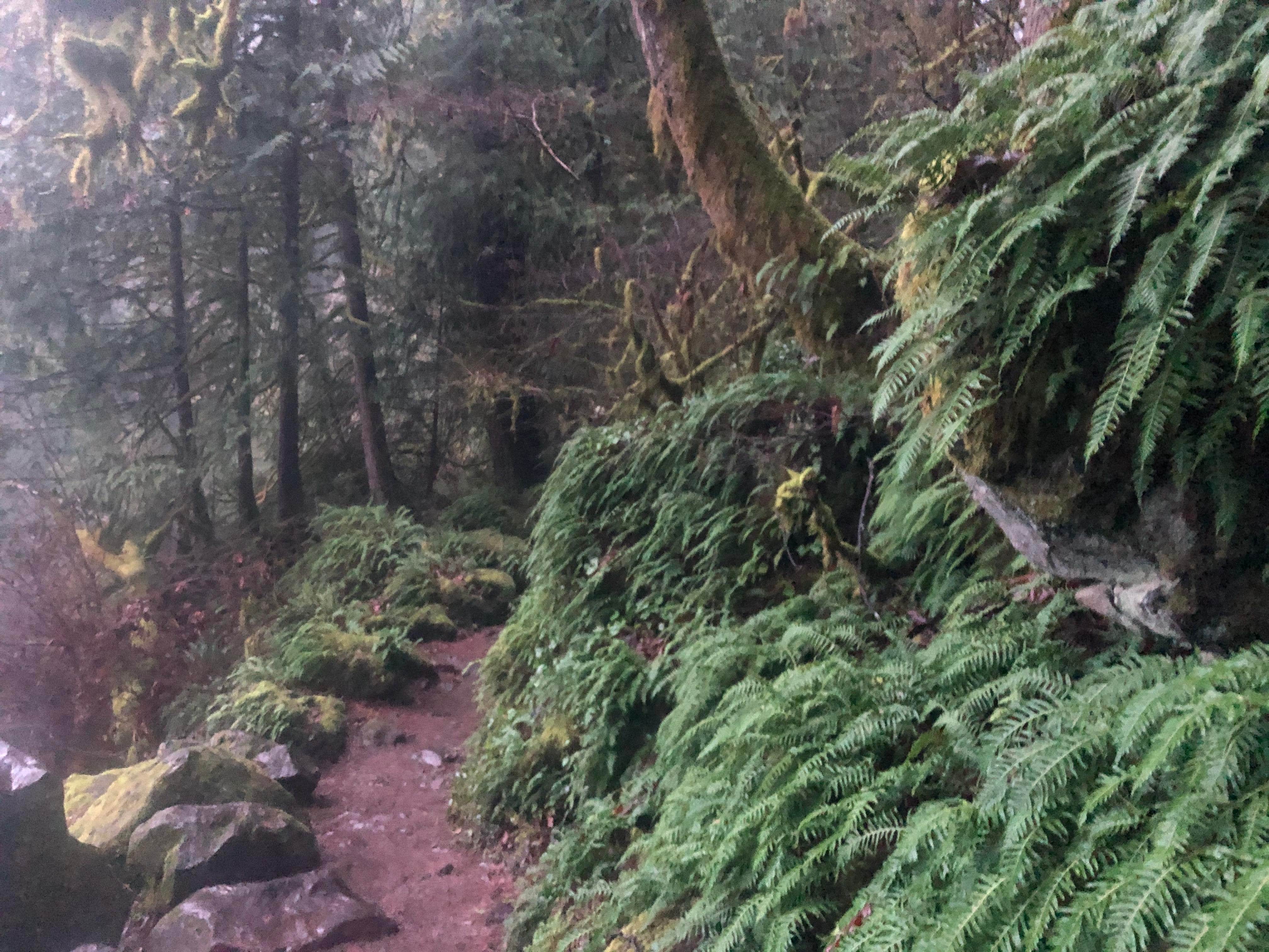 Camper-submitted photo at Battle Ground Lake State Park Campground near Yacolt, WA