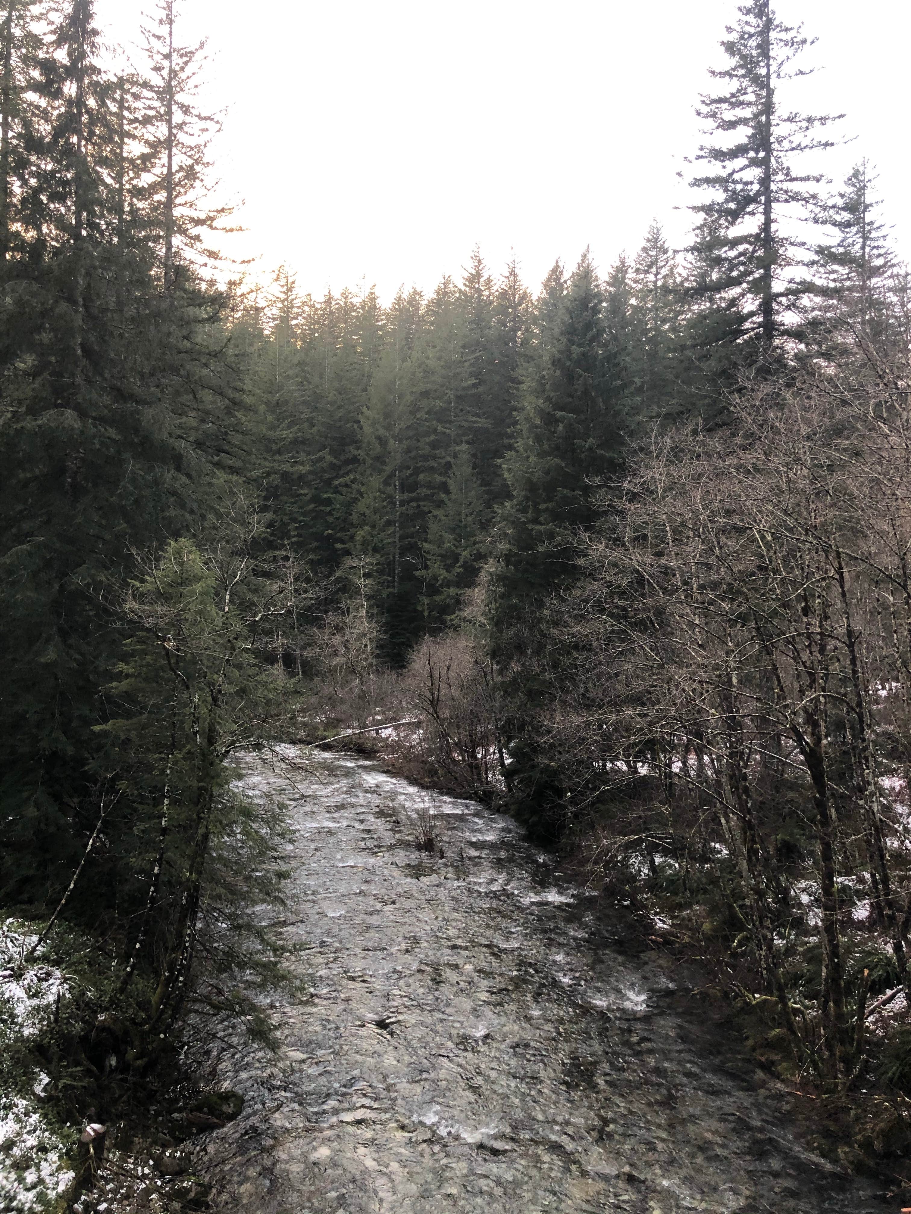 Camper-submitted photo at Tillamook State Forest Stagecoach Horse Camp near Buxton, OR