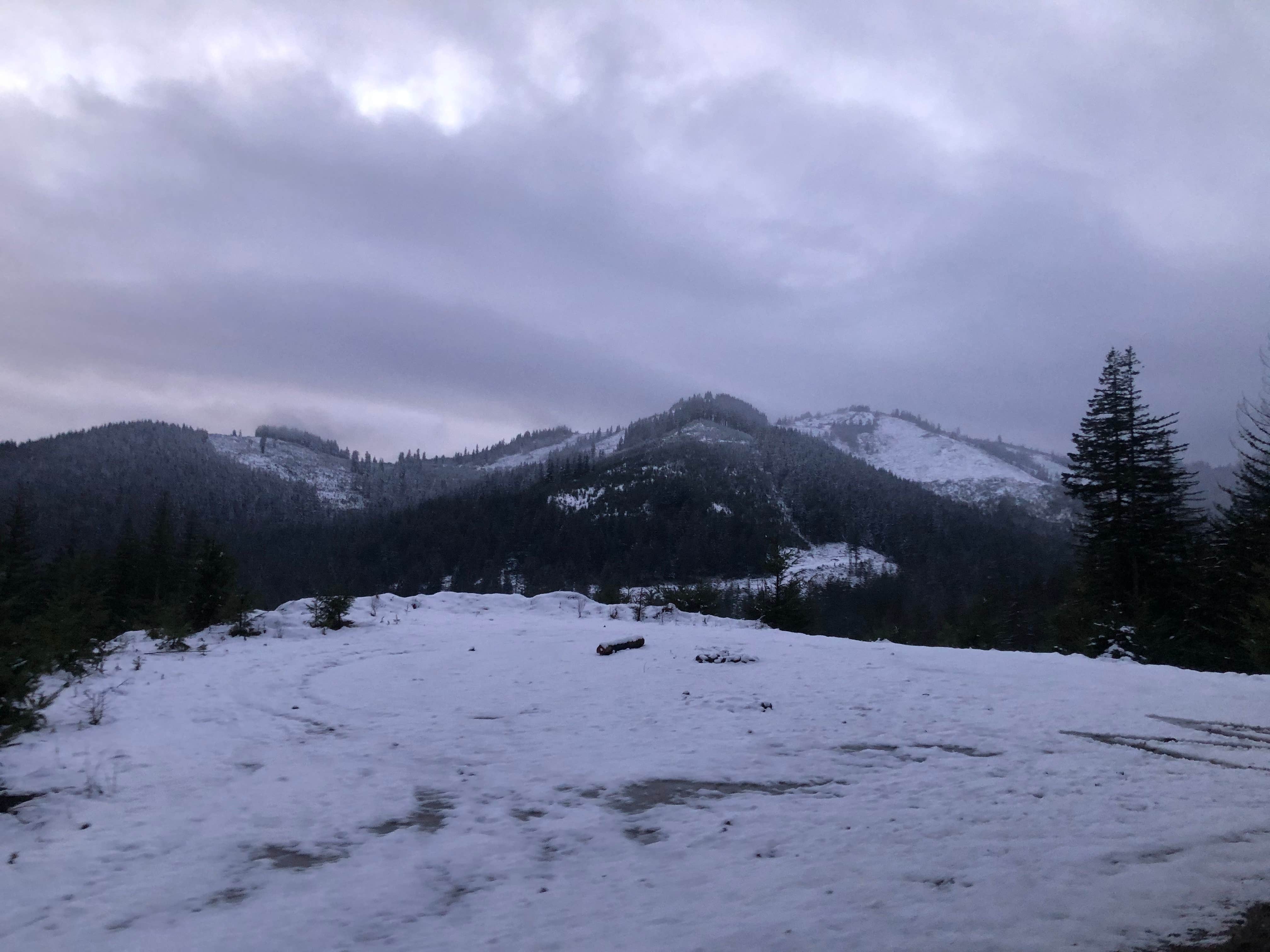 Camper-submitted photo at Tillamook State Forest Stagecoach Horse Camp near Buxton, OR