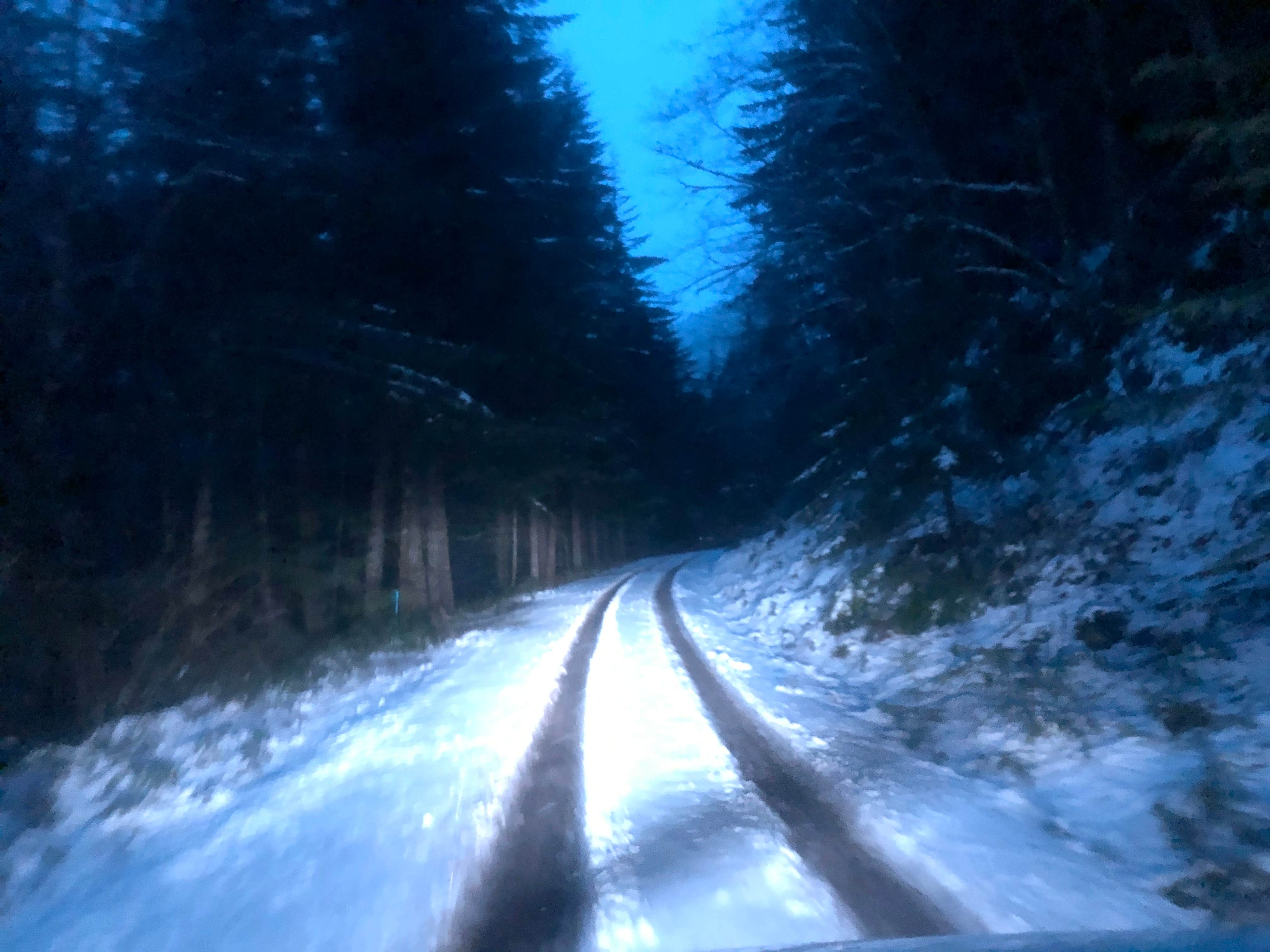 Camping near Cedar Creek Corridor Primitive Camping: Tillamook State Forest Stagecoach Horse Camp, Gales Creek, Oregon