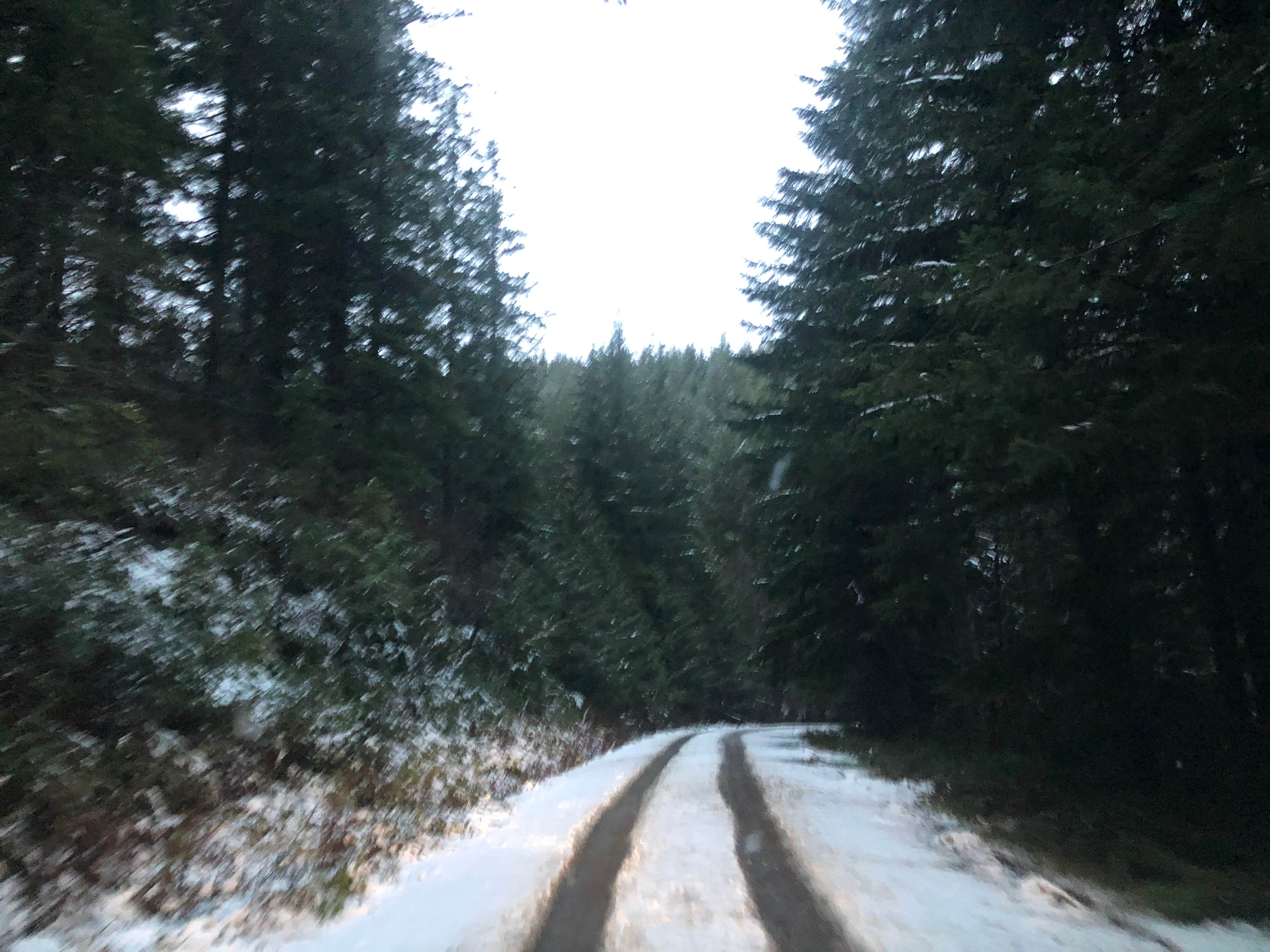 Camper-submitted photo at Tillamook State Forest Stagecoach Horse Camp near Buxton, OR