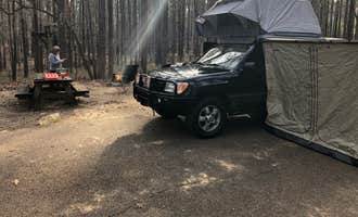 Camping near Cloud Crossing Complex: Kisatchie National Forest Gum Springs Campground, Winnfield, Louisiana