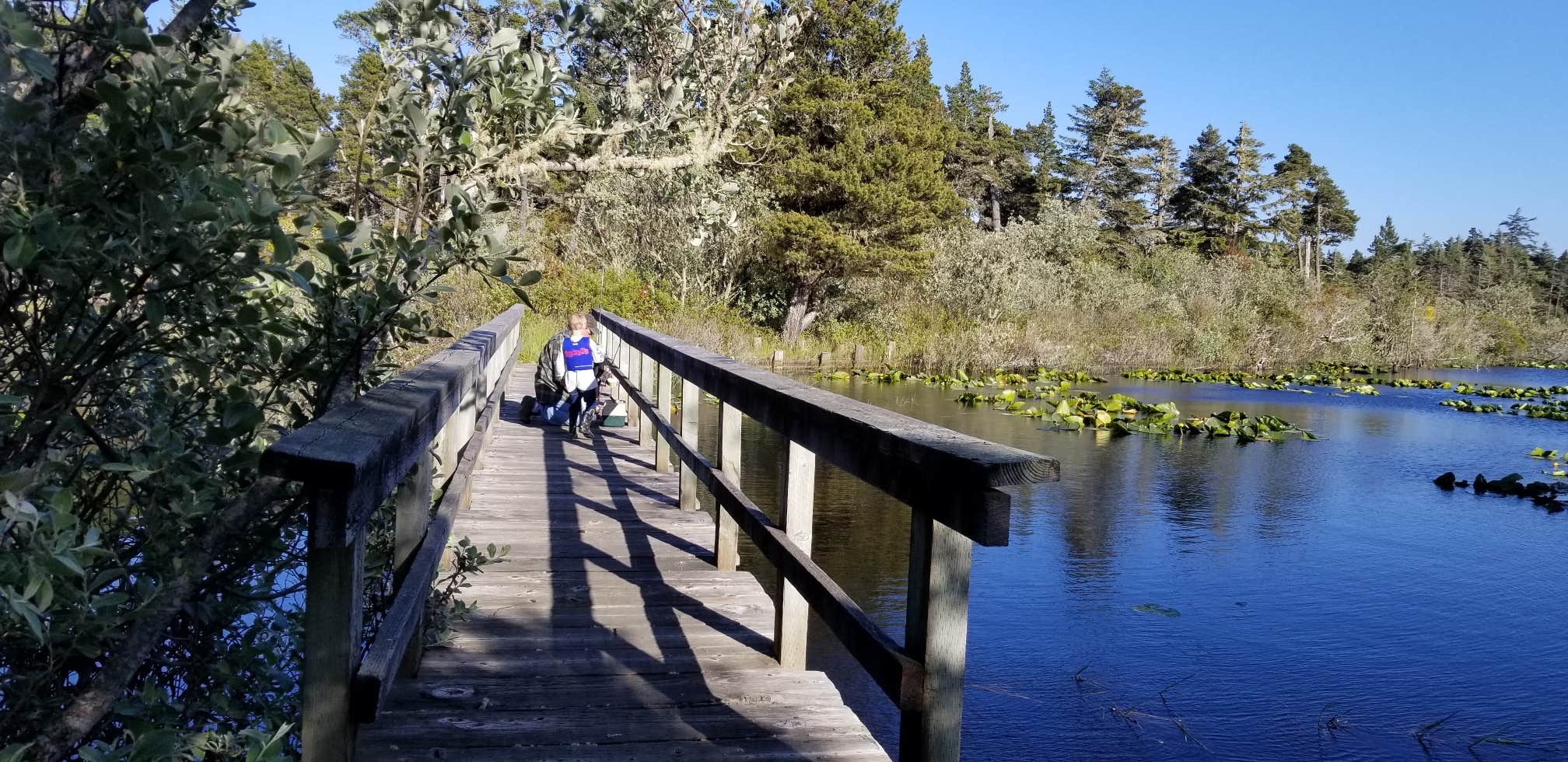 Camper-submitted photo at Bluebill Campground near Coos Bay, OR