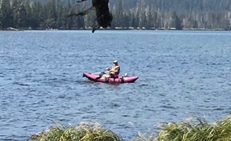 Camper-submitted photo from Diamond Lake RV Park