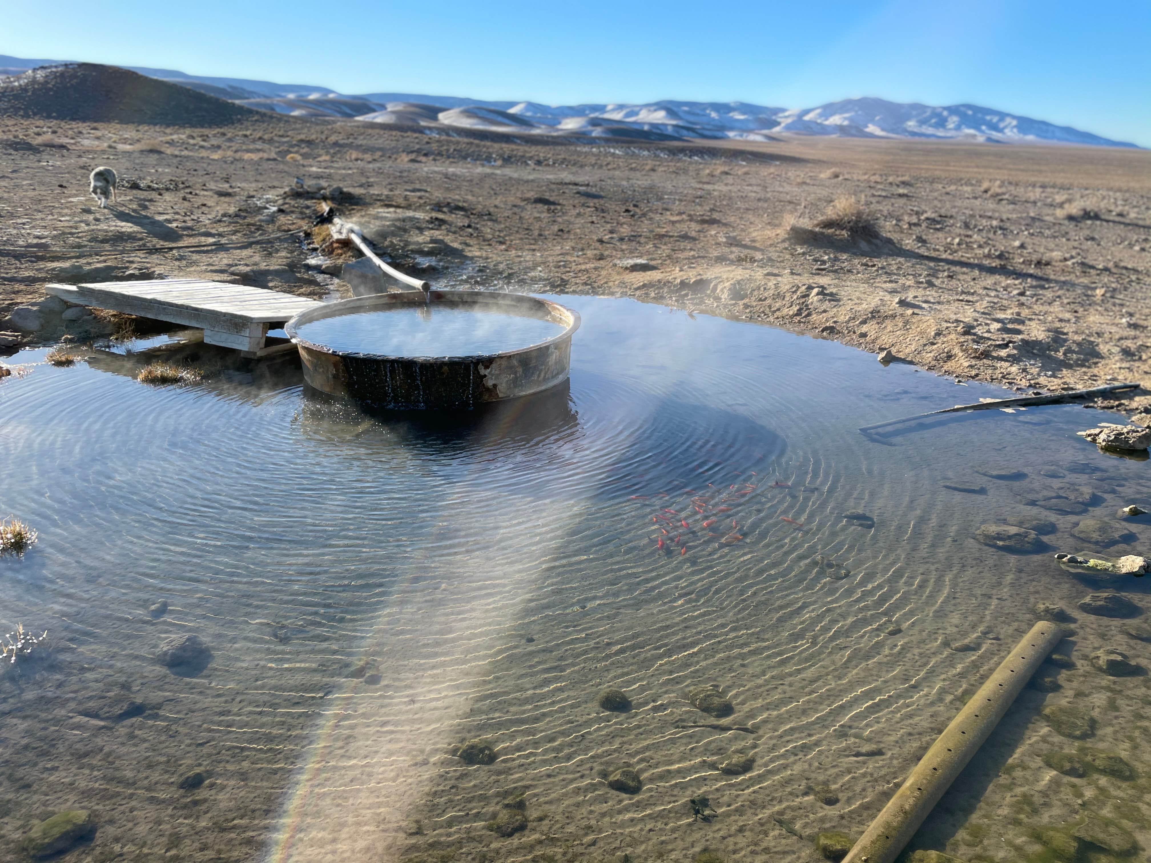 Camper-submitted photo at Spencer Hot Springs near Round Mountain, NV