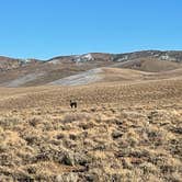 Review photo of Spencer Hot Springs by Jody S., February 14, 2021