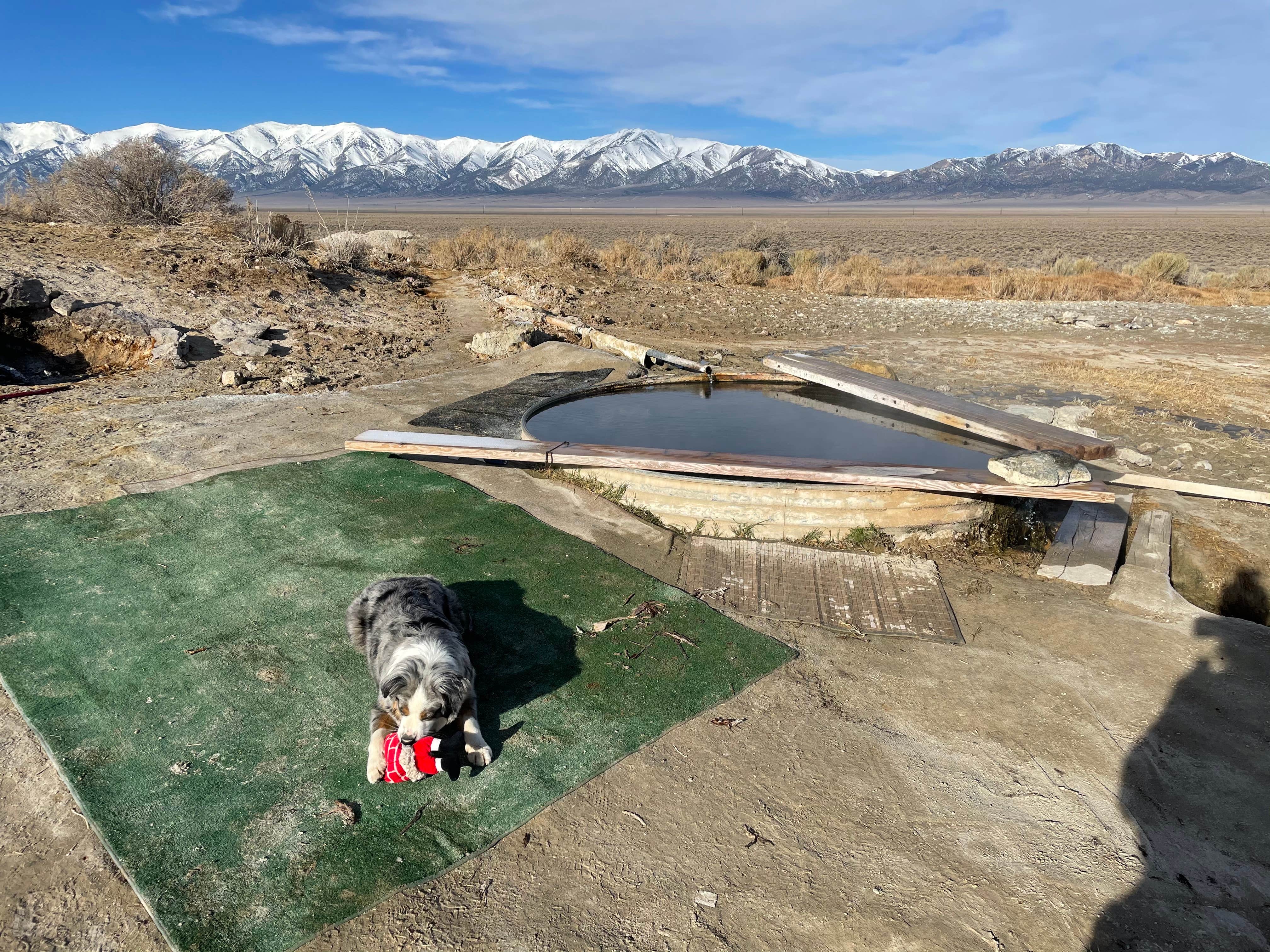 Camper-submitted photo at Spencer Hot Springs near Round Mountain, NV