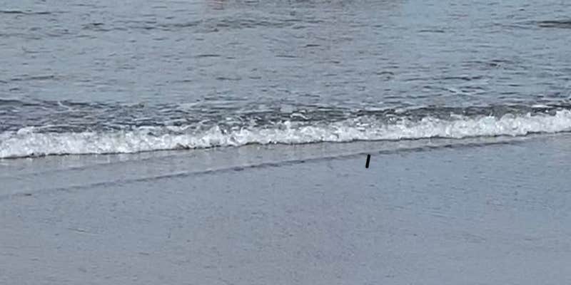 Camper submitted image from Cape Kiwanda RV Resort and Marketplace