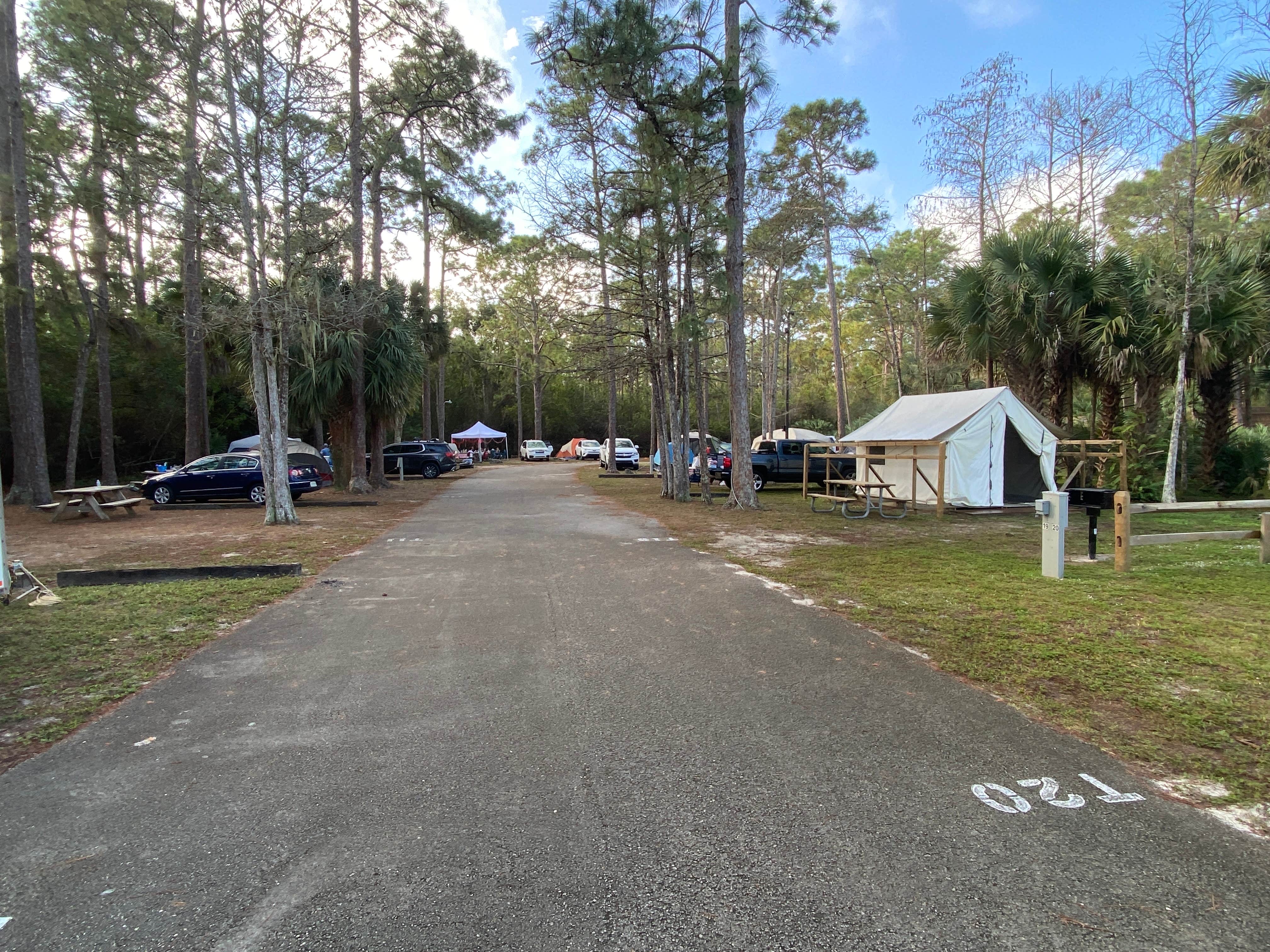 Camper submitted image from West Palm Beach-Lion Country Safari KOA - 1