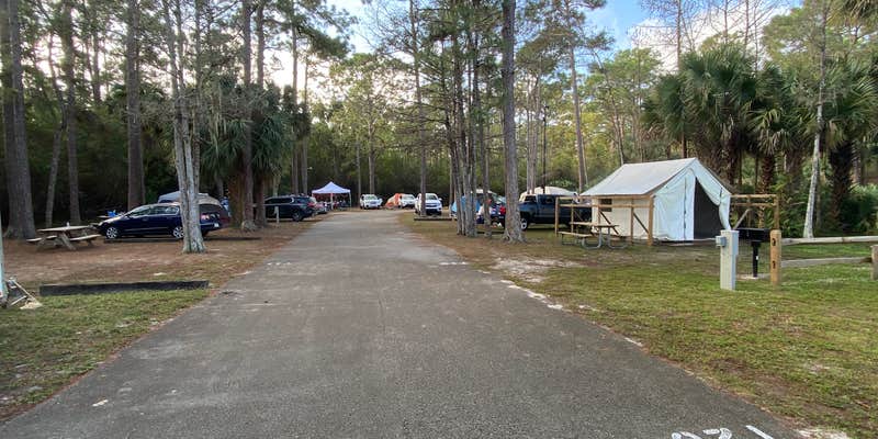 Camper submitted image from West Palm Beach-Lion Country Safari KOA