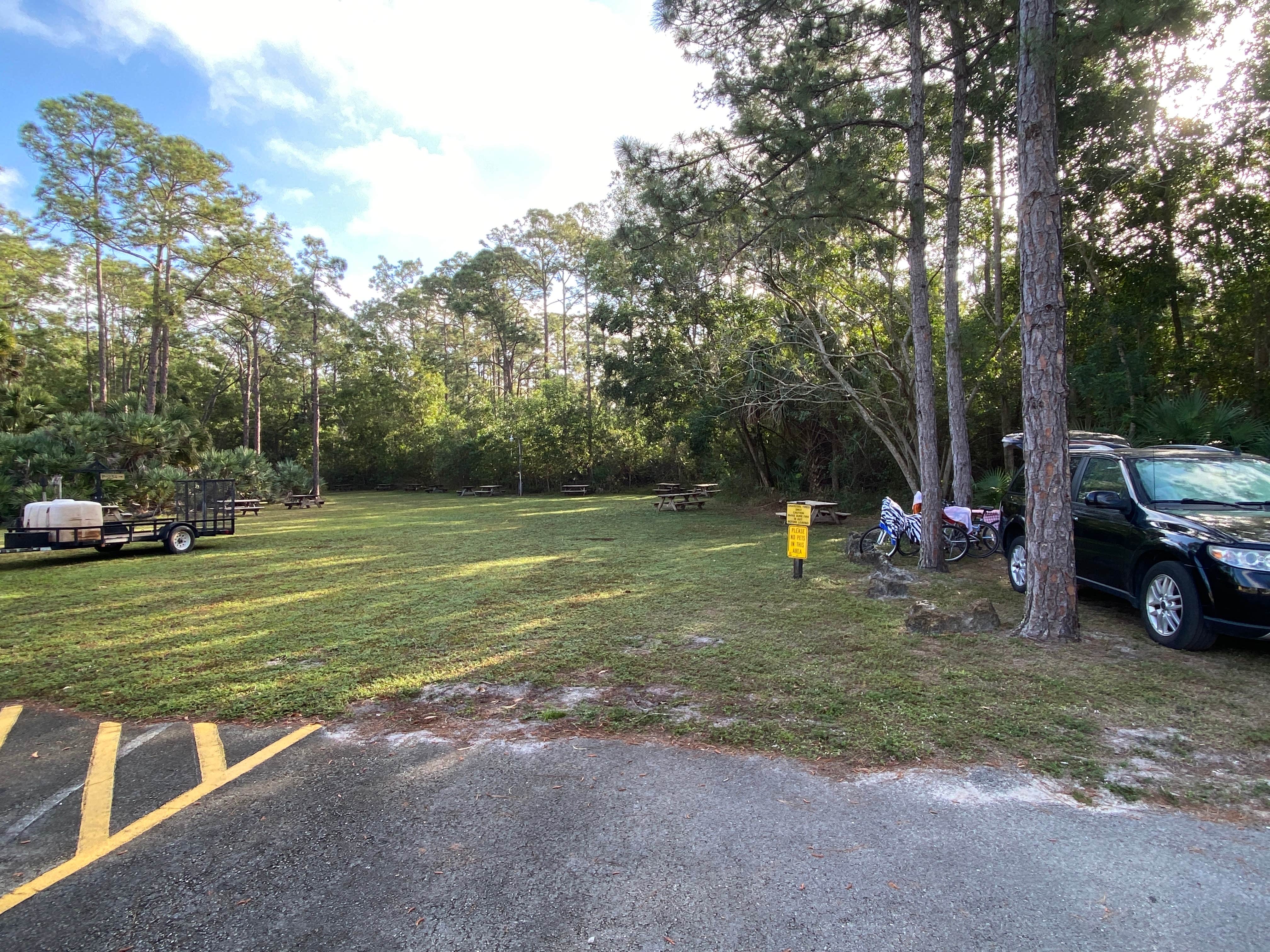 Camper submitted image from West Palm Beach-Lion Country Safari KOA - 4