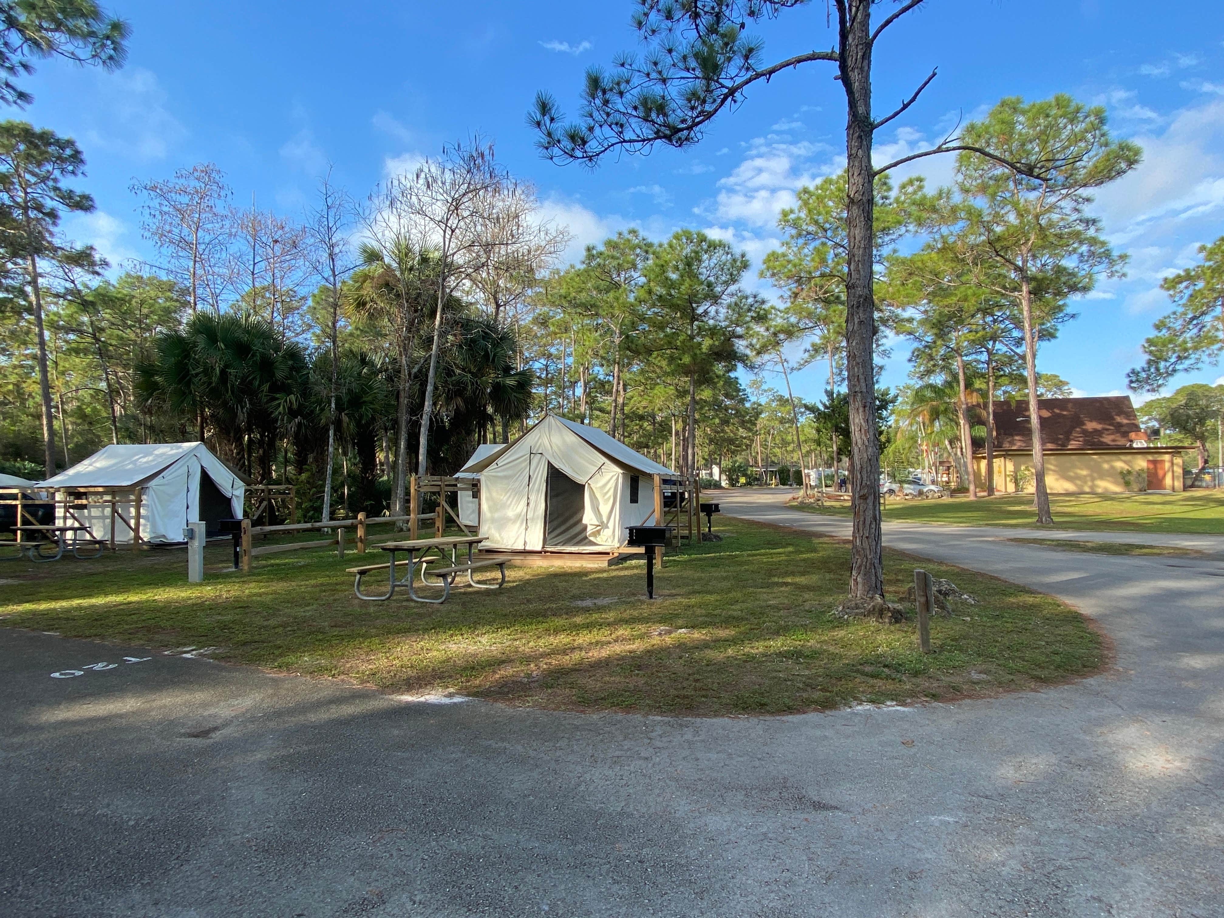 Camper submitted image from West Palm Beach-Lion Country Safari KOA - 4
