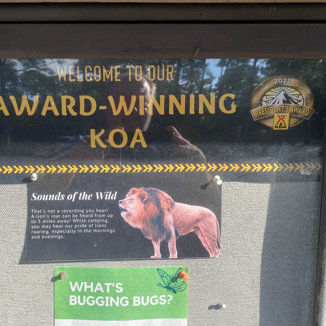 West Palm BeachLion Country Safari KOA Camping Loxahatchee, FL The