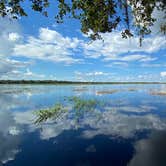 Review photo of Old Prairie Campground — Myakka River State Park by Perry J., February 14, 2021