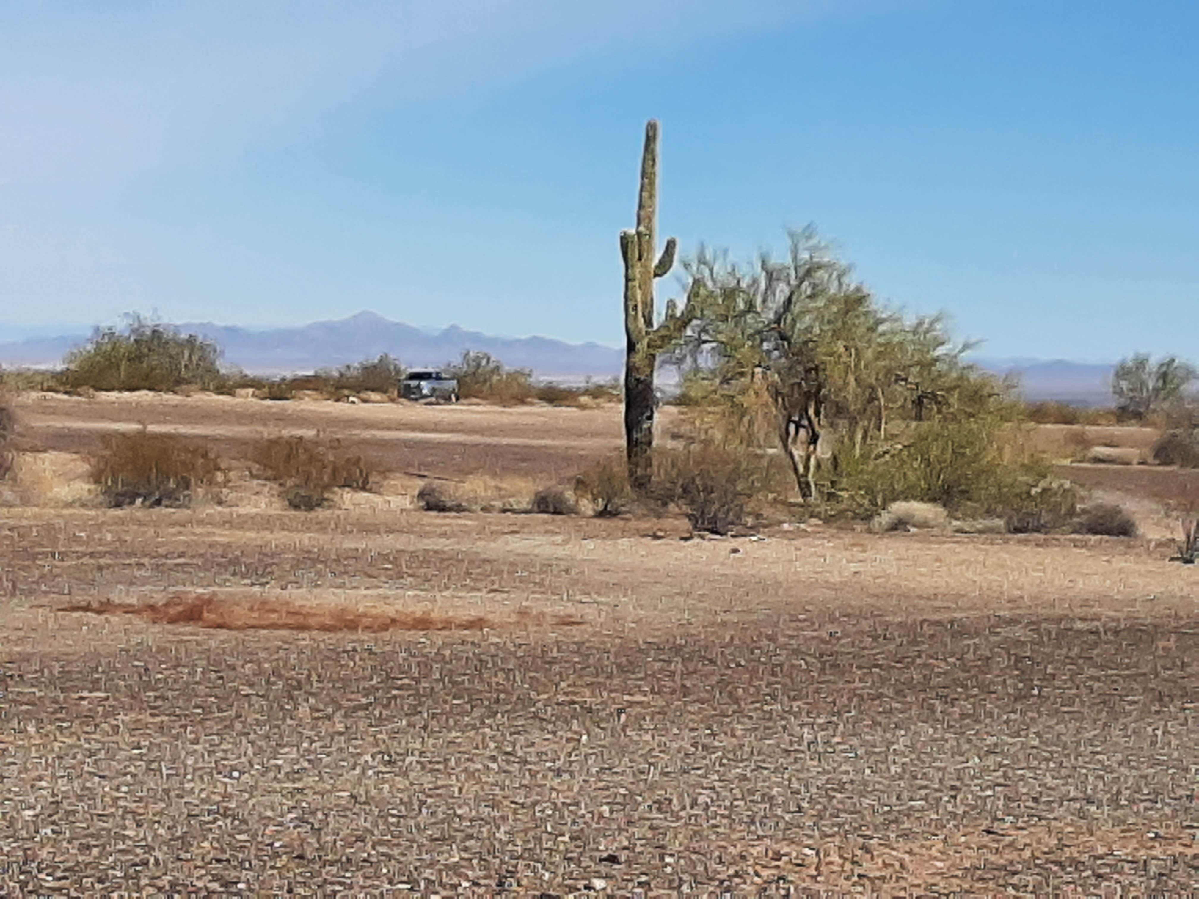 Camper submitted image from Plomosa Rd. Quinn Pass BLM Dispersed Camping - 4