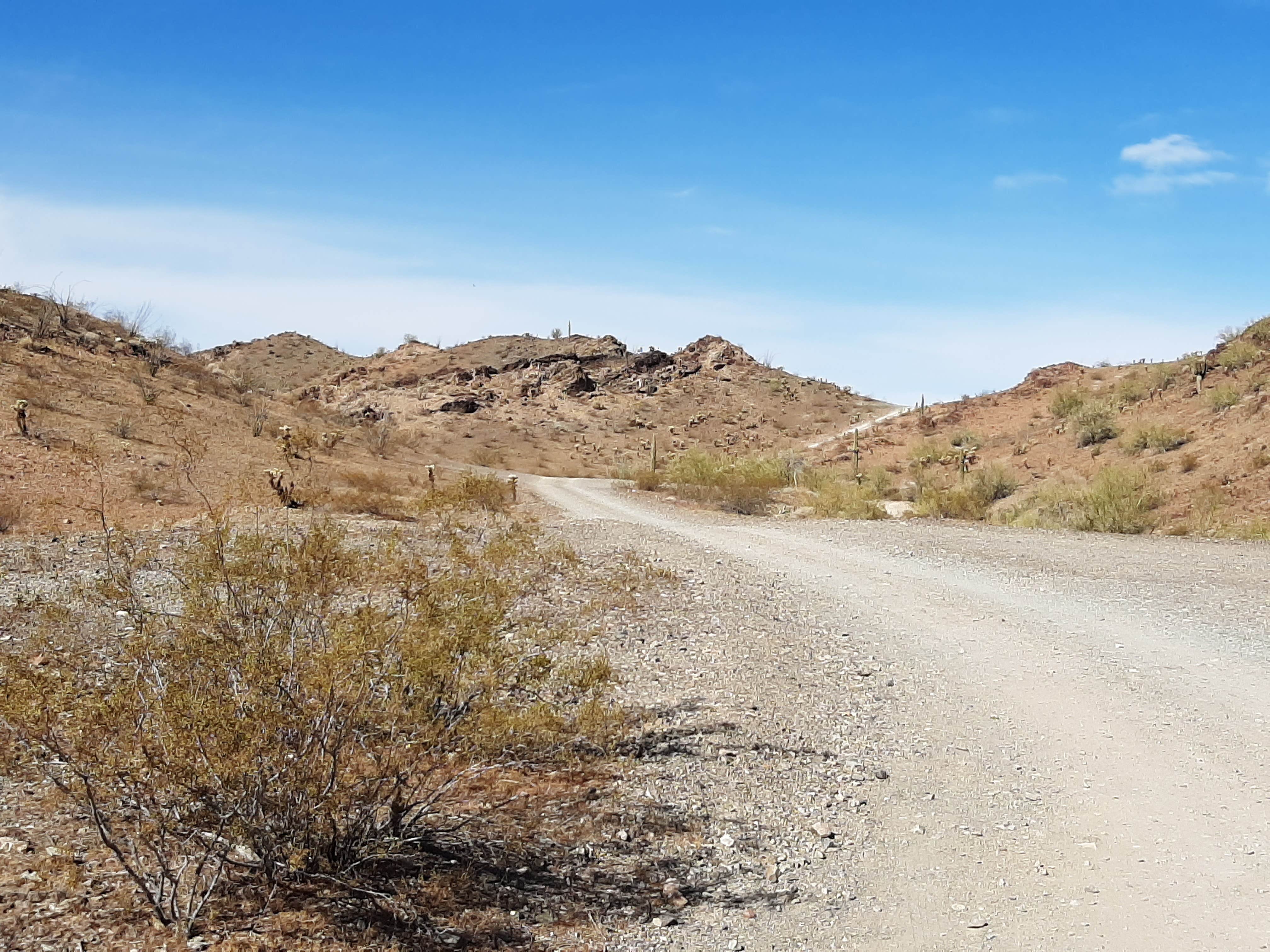 Camper submitted image from Plomosa Rd. Quinn Pass BLM Dispersed Camping - 2