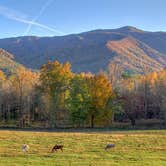 Review photo of Cades Cove Campground by Erin H., July 12, 2016