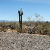 Review photo of Plomosa Rd. Quinn Pass BLM Dispersed Camping by Larry B., February 14, 2021