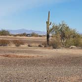 Review photo of Plomosa Rd. Quinn Pass BLM Dispersed Camping by Larry B., February 14, 2021