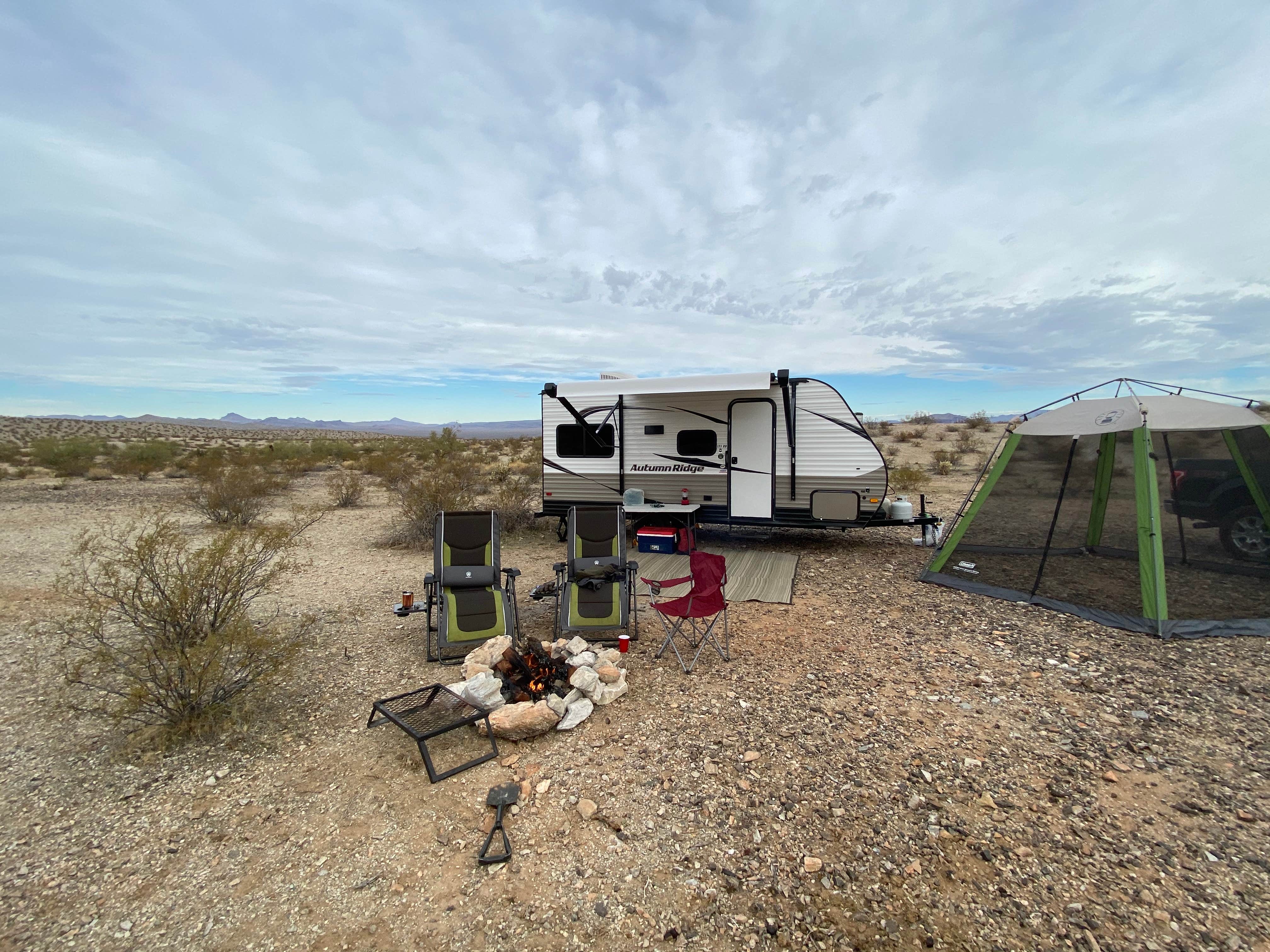 Camper submitted image from Alamo Lake State Park Campground - 1