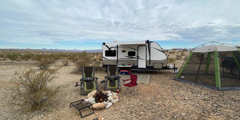 Camper submitted image from Alamo Lake State Park Campground