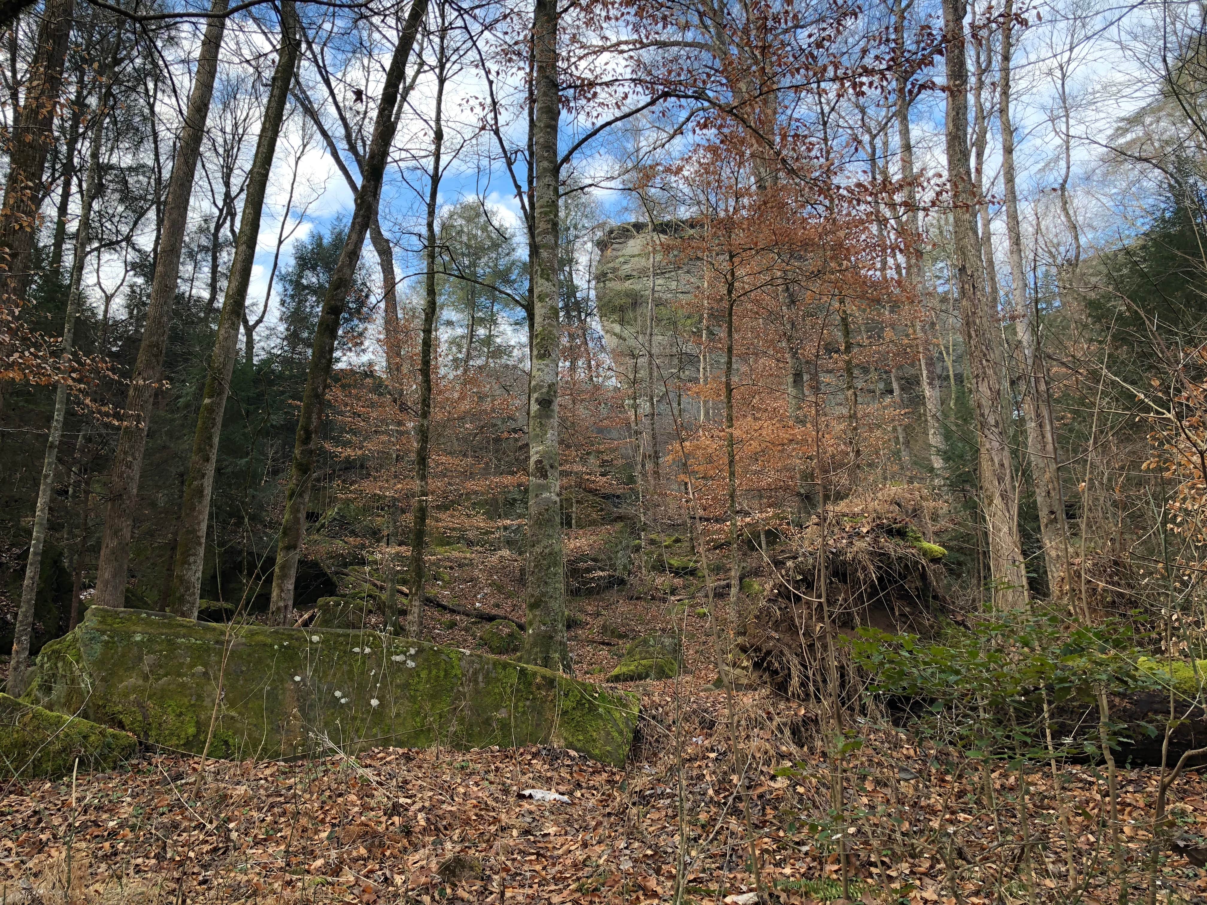 Camper-submitted photo at Thompson Creek Trail Campsites near Danville, AL