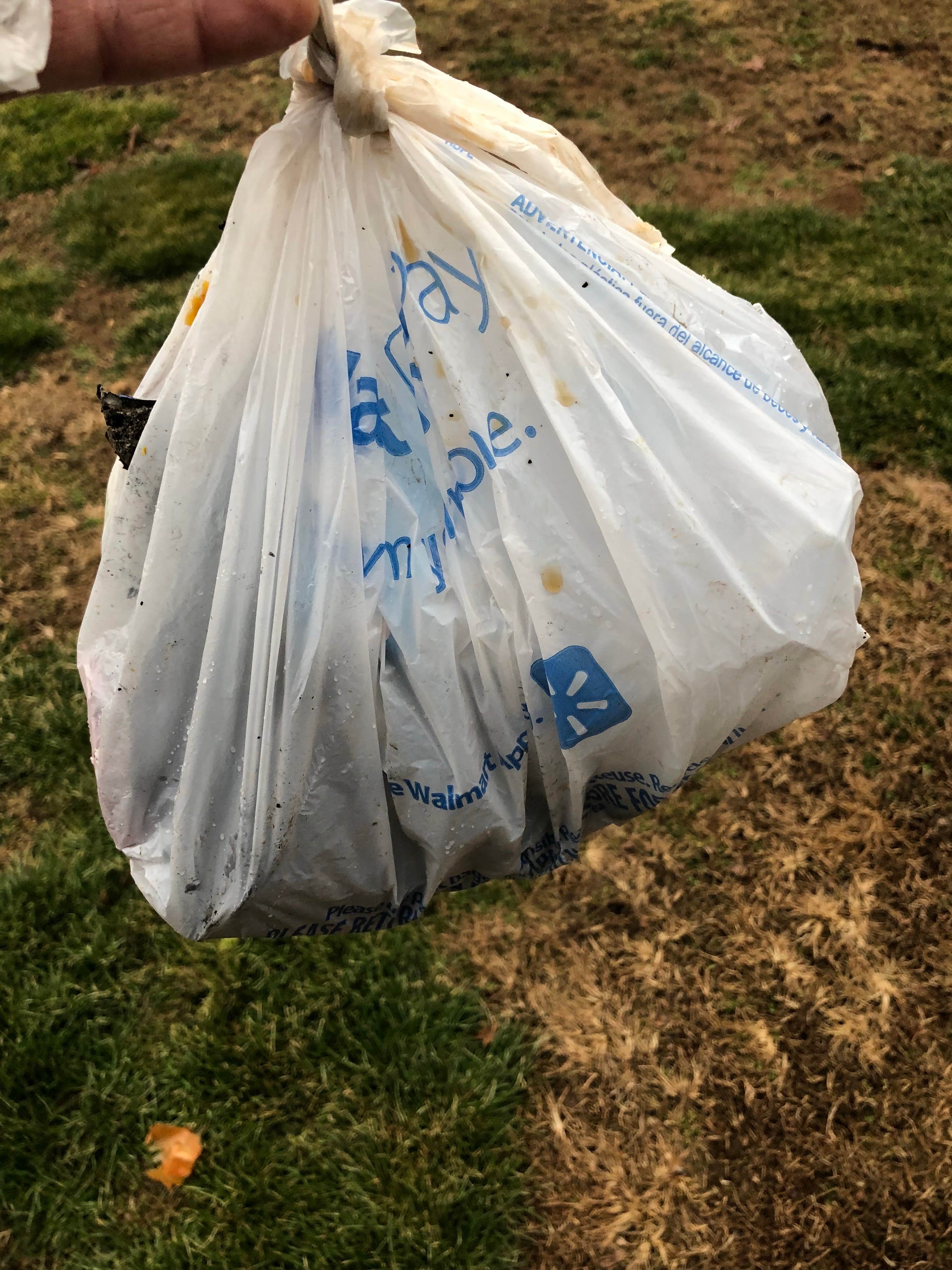 Camper-submitted photo at Thompson Creek Trail Campsites near Danville, AL