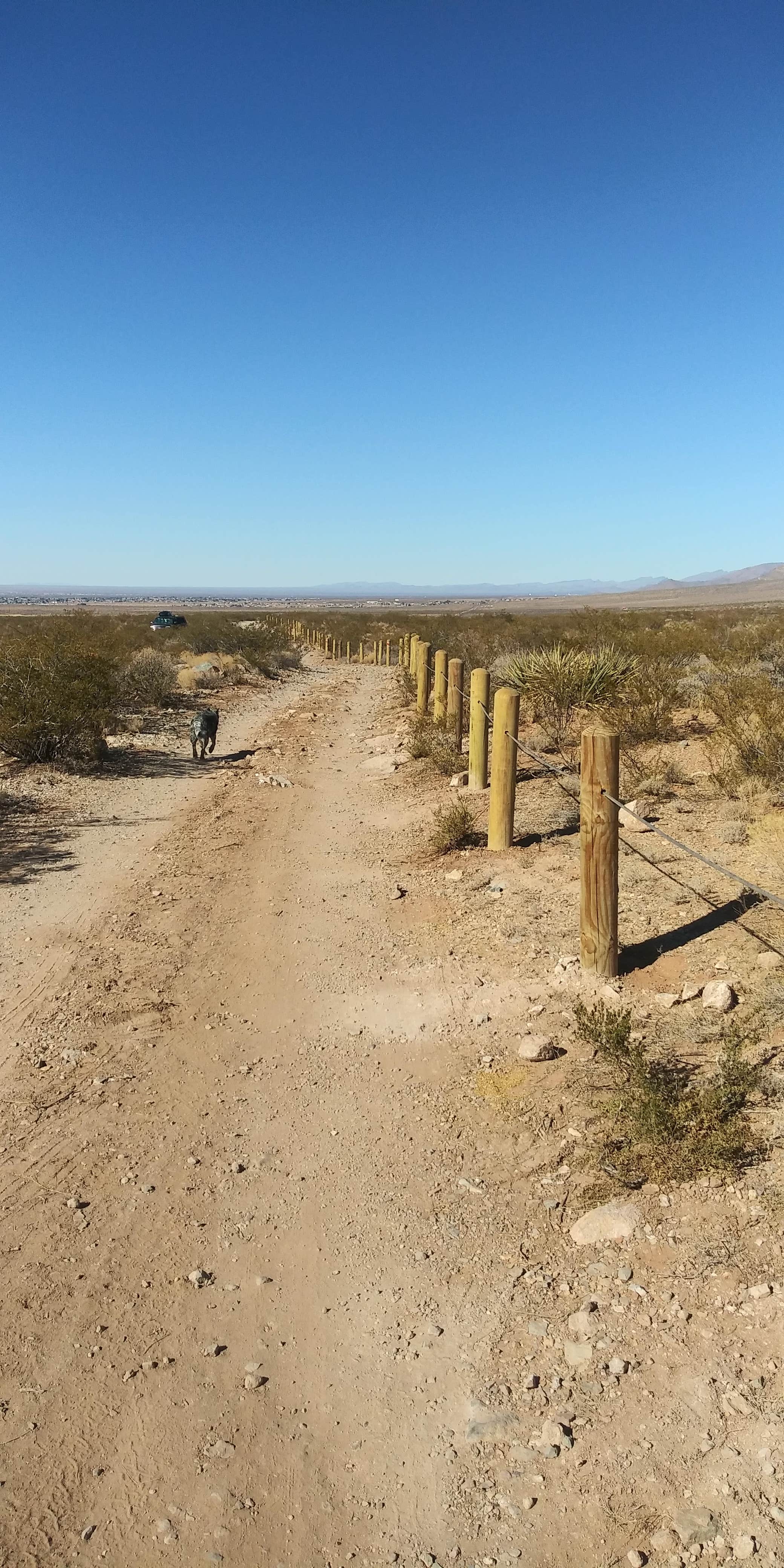 Camper submitted image from Baylor Pass West Trailhead Dispersed - 5