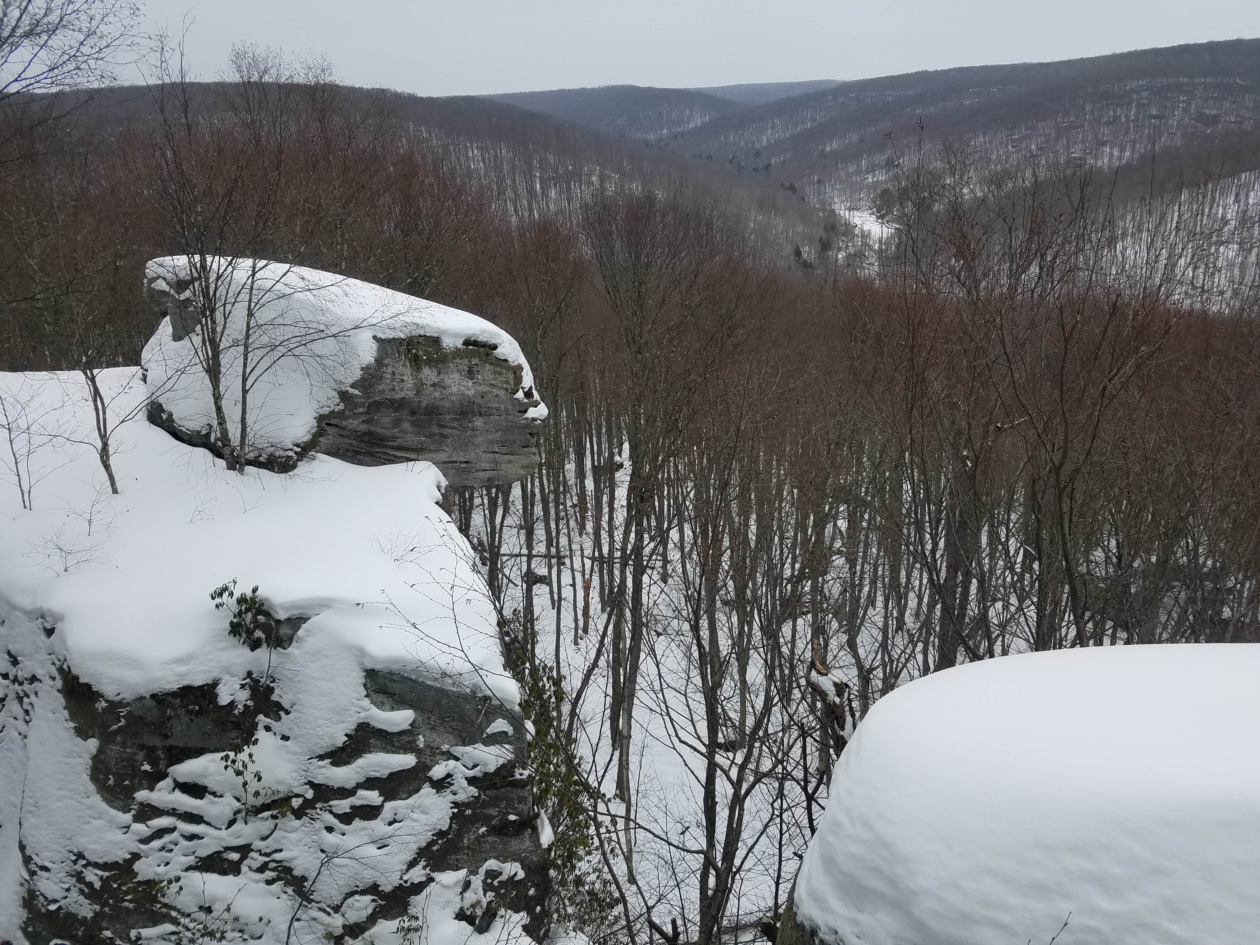 Camper-submitted photo at Minister Creek Campground near Bradford, PA