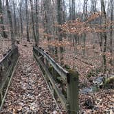Review photo of Mammoth Cave Campground — Mammoth Cave National Park by Terrell B., February 15, 2021