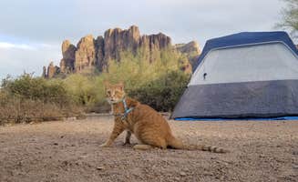 Ivette V.'s photo at Lost Dutchman State Park Campground near Mesa, AZ