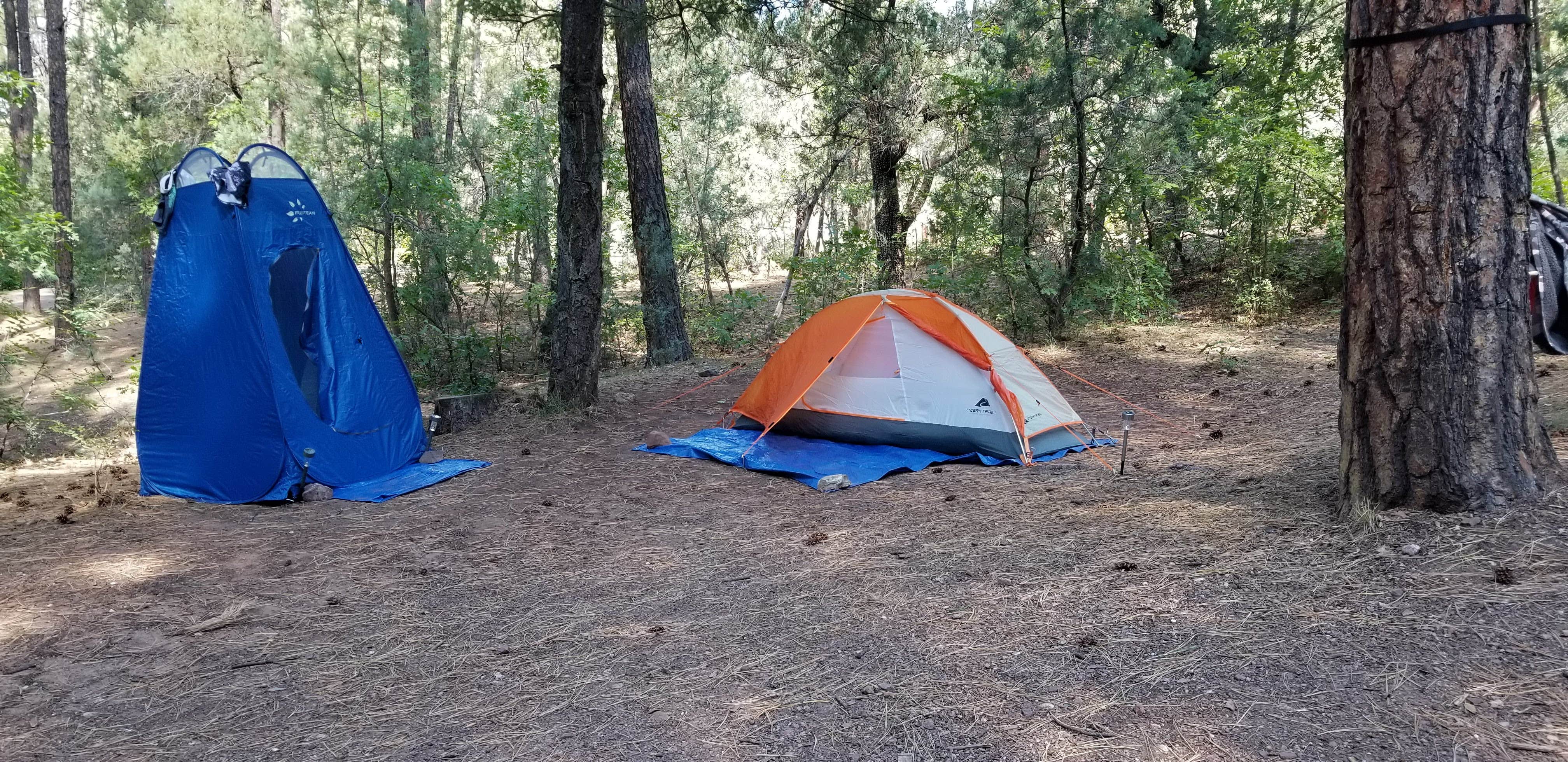 Ivette V.'s photo at Christopher Creek near Young, AZ