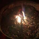 Review photo of Mammoth Cave Campground — Mammoth Cave National Park by Terrell B., February 15, 2021
