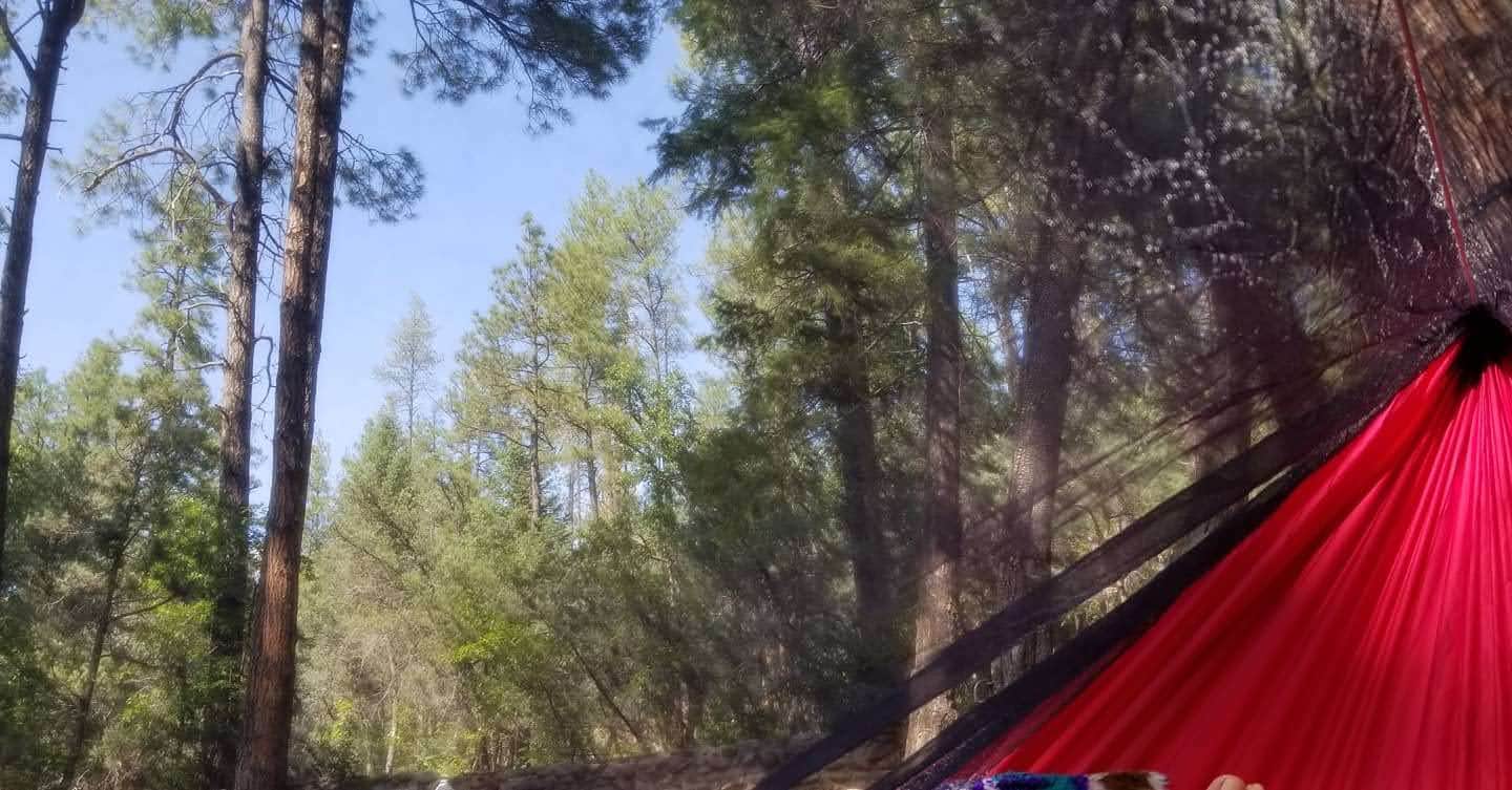 Ivette V.'s photo at Christopher Creek near Young, AZ