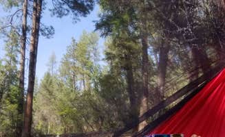 Ivette V.'s photo at Christopher Creek near Young, AZ