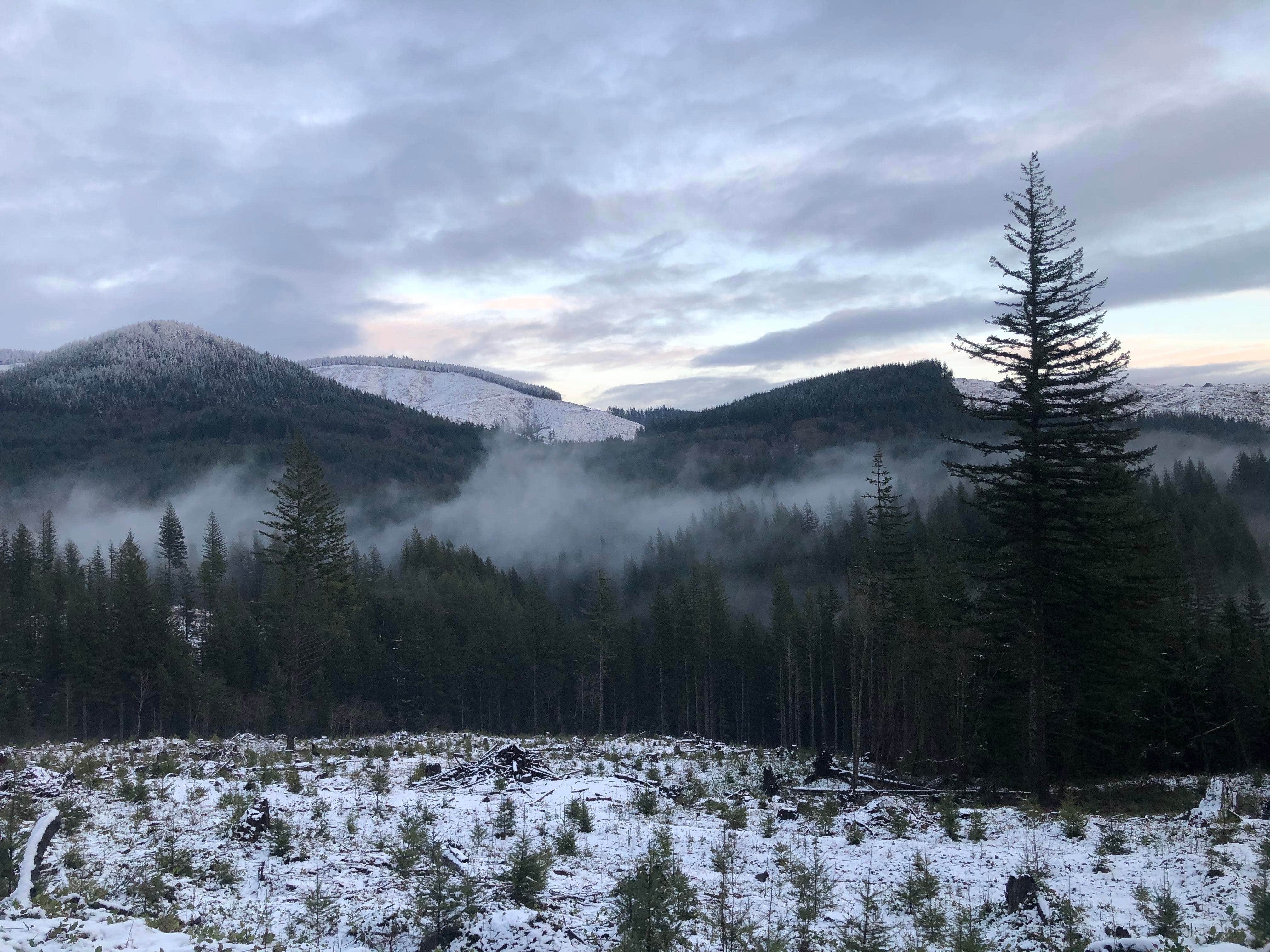 Camper-submitted photo at Tillamook State Forest Stagecoach Horse Camp near Buxton, OR