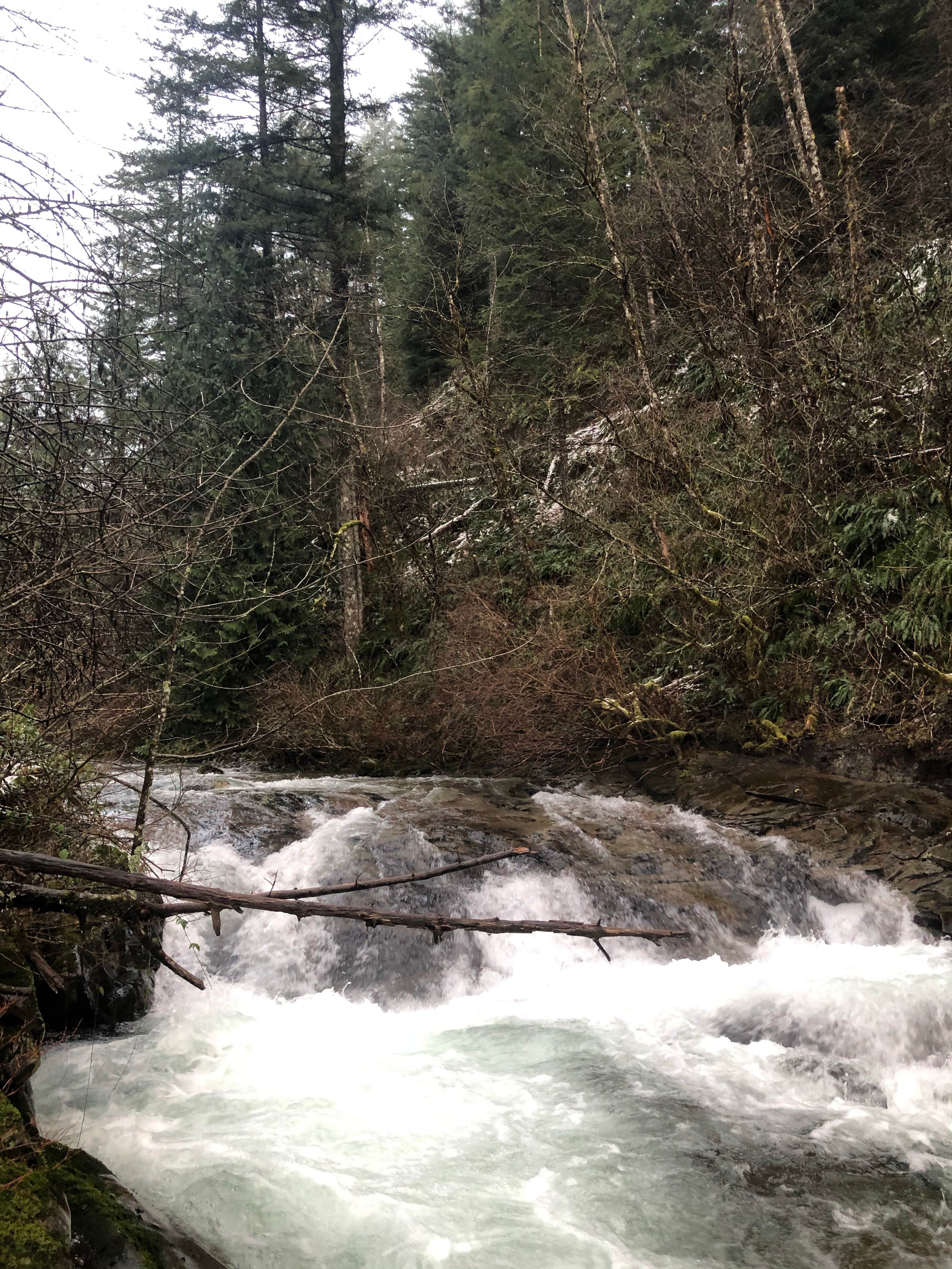 Camper submitted image from Tillamook State Forest Stagecoach Horse Camp - 4