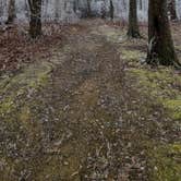 Review photo of Monte Sano State Park Campground by Rebekah C., February 15, 2021